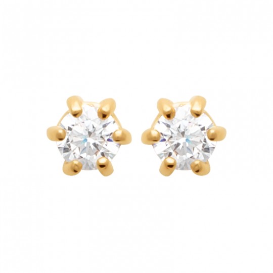 Boucles d'oreilles puces...