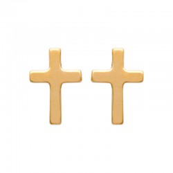 Boucles d'oreilles puces...