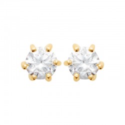 Boucles d'oreilles puces...