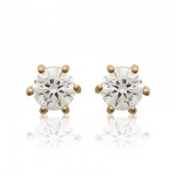 Boucles d'oreilles puces...