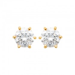 Boucles d'oreilles puces...