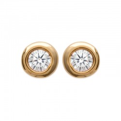 Boucles d'oreilles puces...