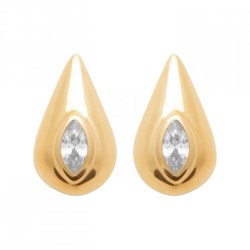 Boucles d'oreilles Puces...