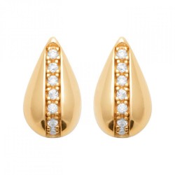 Boucles d'oreilles Puces...