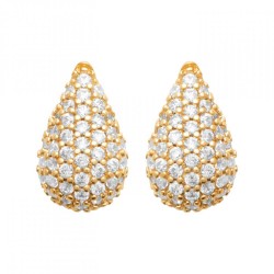 Boucles d'oreilles Puces...