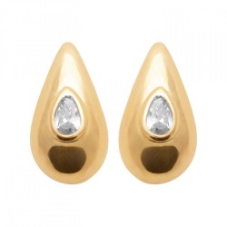 Boucles d'oreilles Puces...