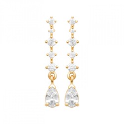 Boucles d'oreilles Puces...