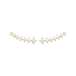 Boucles d'oreilles Puce...