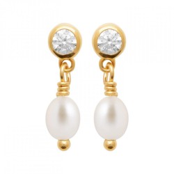 Boucles d'oreilles Puces...