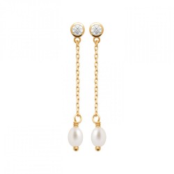 Boucles d'oreilles Puces...