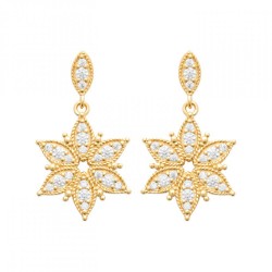 Boucles d'oreilles Puces...