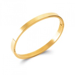 Jonc Acier 316L PVD DORÉ...