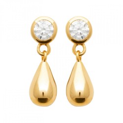 Boucles d'oreilles Puces...