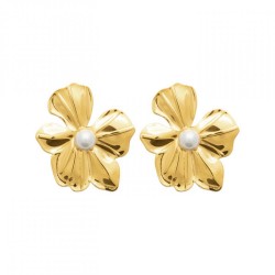 Boucles d'oreilles Puces...