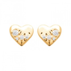 Boucles d'oreilles Puces...