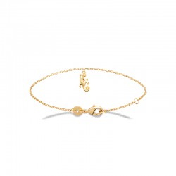 Chaîne de cheville Gecko...