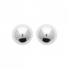 Boucles d'oreilles Puces Boules Acier 316L PVD
