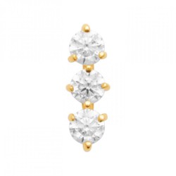 Piercing Tige en Titane...