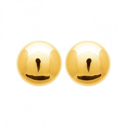 Boucles d'oreilles Puces...