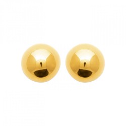 Boucles d'oreilles Puces...