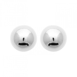 Boucles d'oreilles Puces...