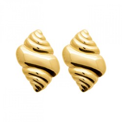 Boucles d'oreilles Puces...