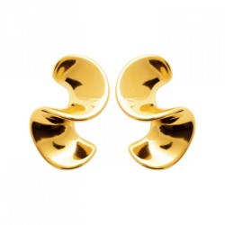 Boucles d'oreilles Puces...